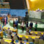 ecosoc-elections