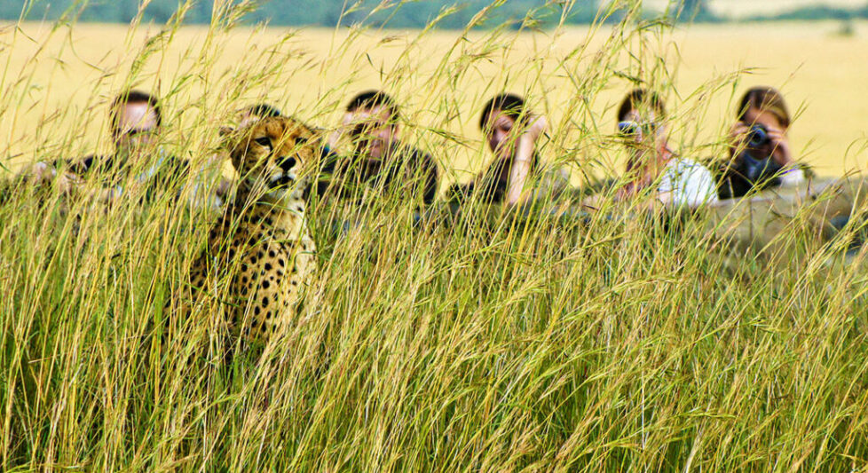 zambian-wildlife zambian-wildlife